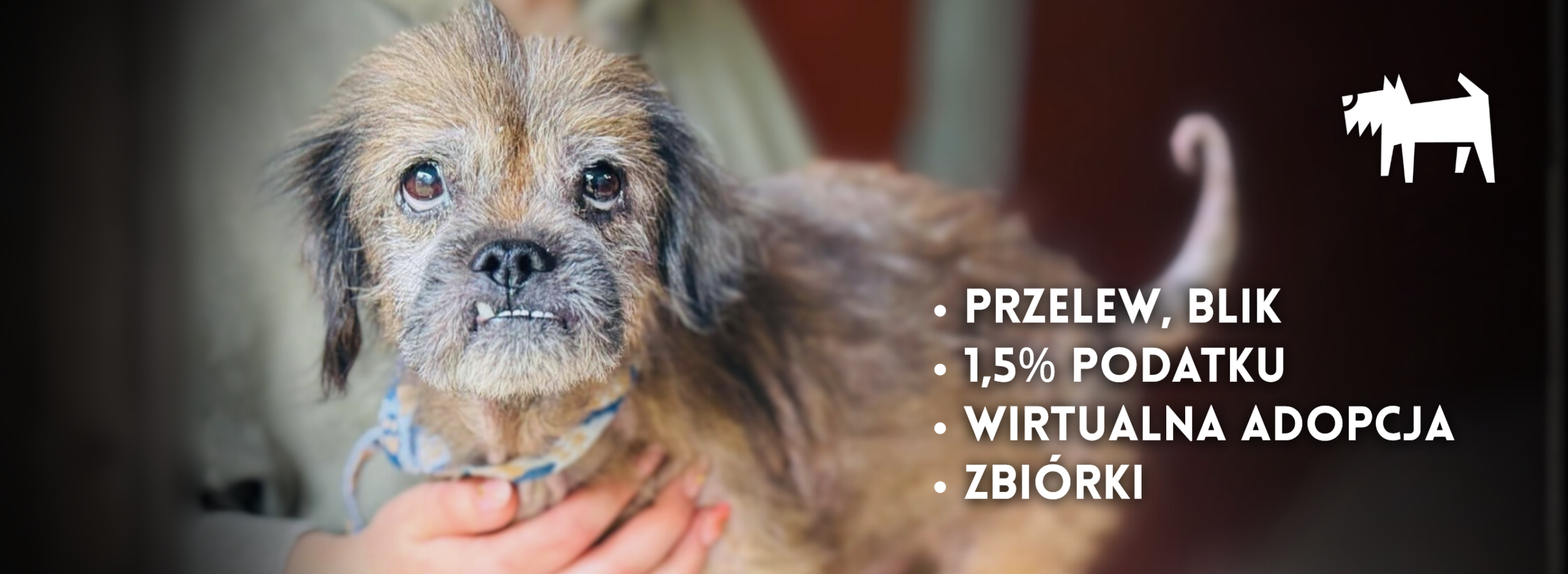 tlo darowiznyfinansowe scaled