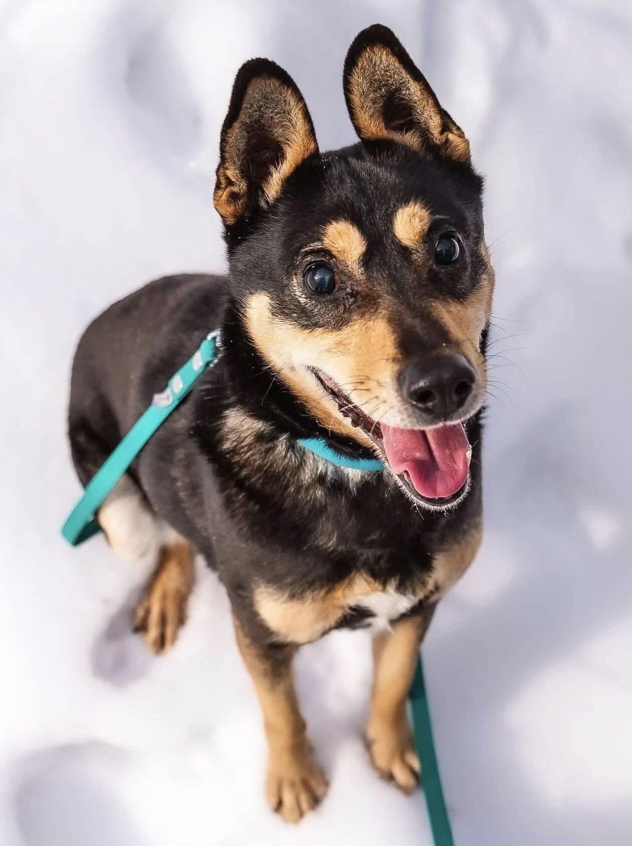 641328548 952672920664261 8049426692298381019 n e1773089264147