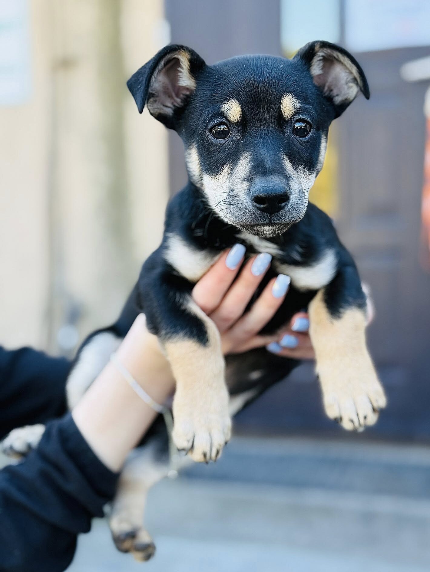 Paprykarz 4 648544660 959954199936133 2124172027377346664 n e1773090662753