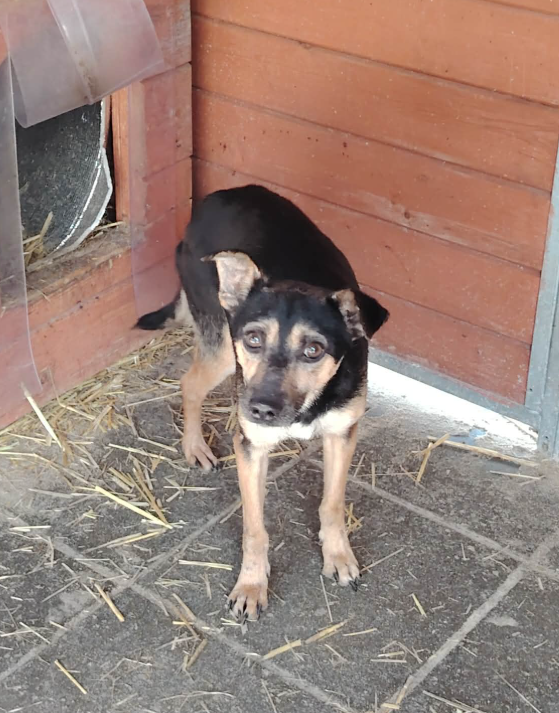 Zrzut ekranu 2026 03 09 131338