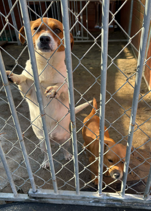 Zrzut ekranu 2026 03 09 132016