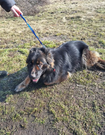 Zrzut ekranu 2026 03 09 132236