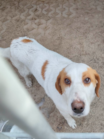 Zrzut ekranu 2026 03 09 132335