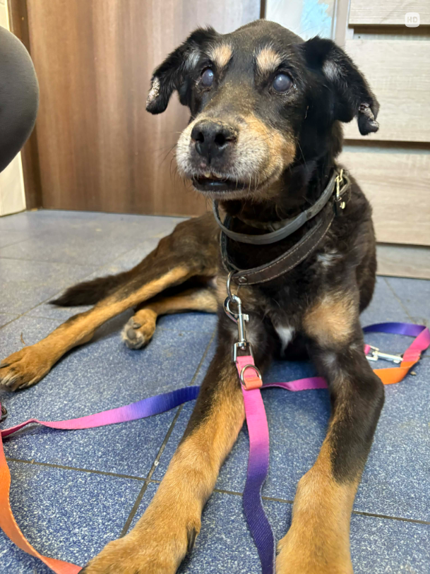 Zrzut ekranu 2026 03 09 133057