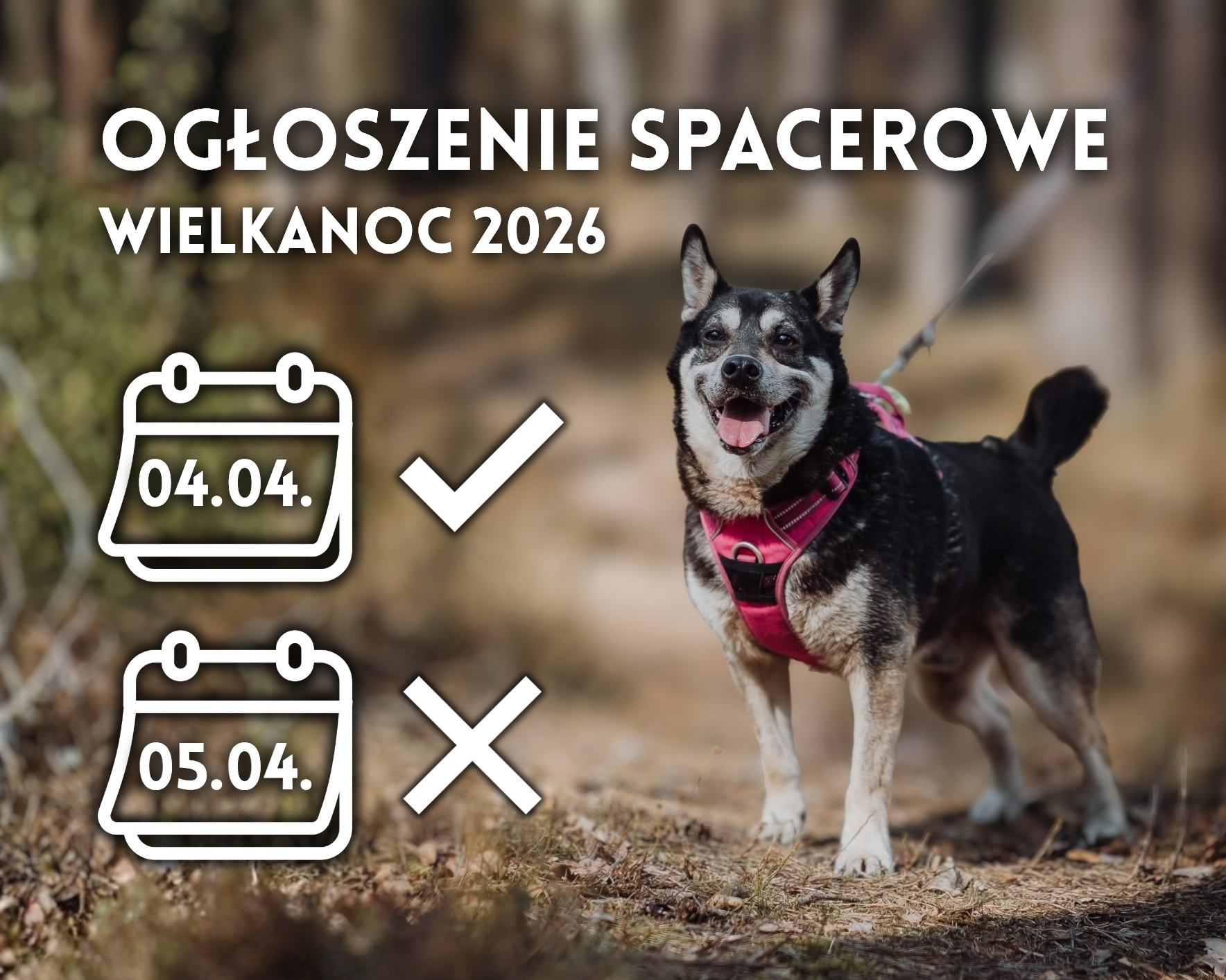 Tytul – kopia – kopia – kopia – kopia – kopia