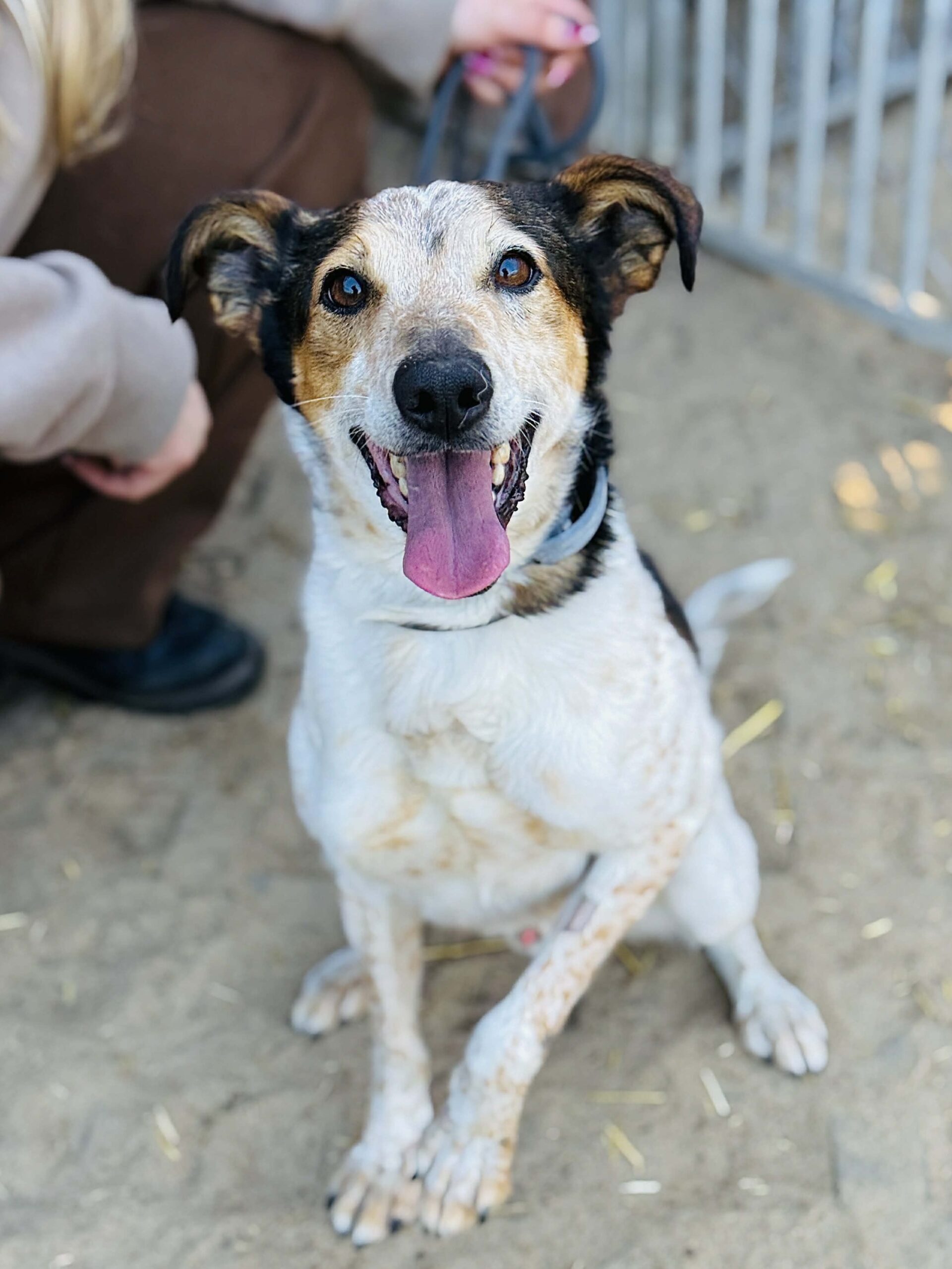 att.A E 3MpkBL8uBkfmBAeRpZ3pC8cx9Xp8AwEfyVJ AAQ scaled