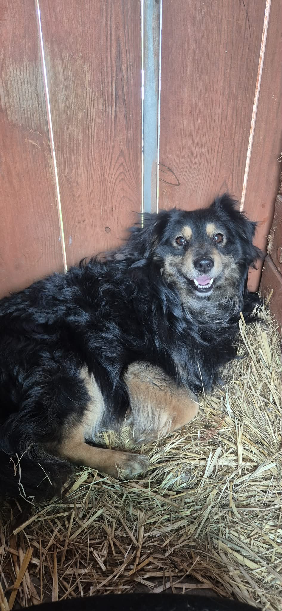 att.L9rXhlrKS3vbuPN8QSE1S0xkxXAKU93W3B i 2EQIik