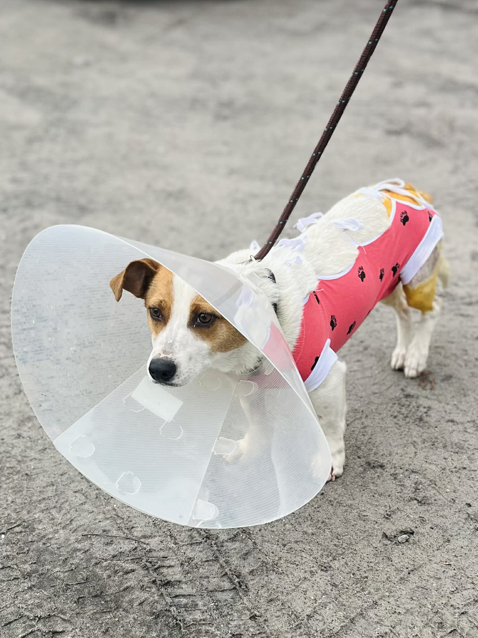 att.QDHN4Iyc8LJAnsPVwY0cKUUbt OdU6rdn1ASlDZumpk