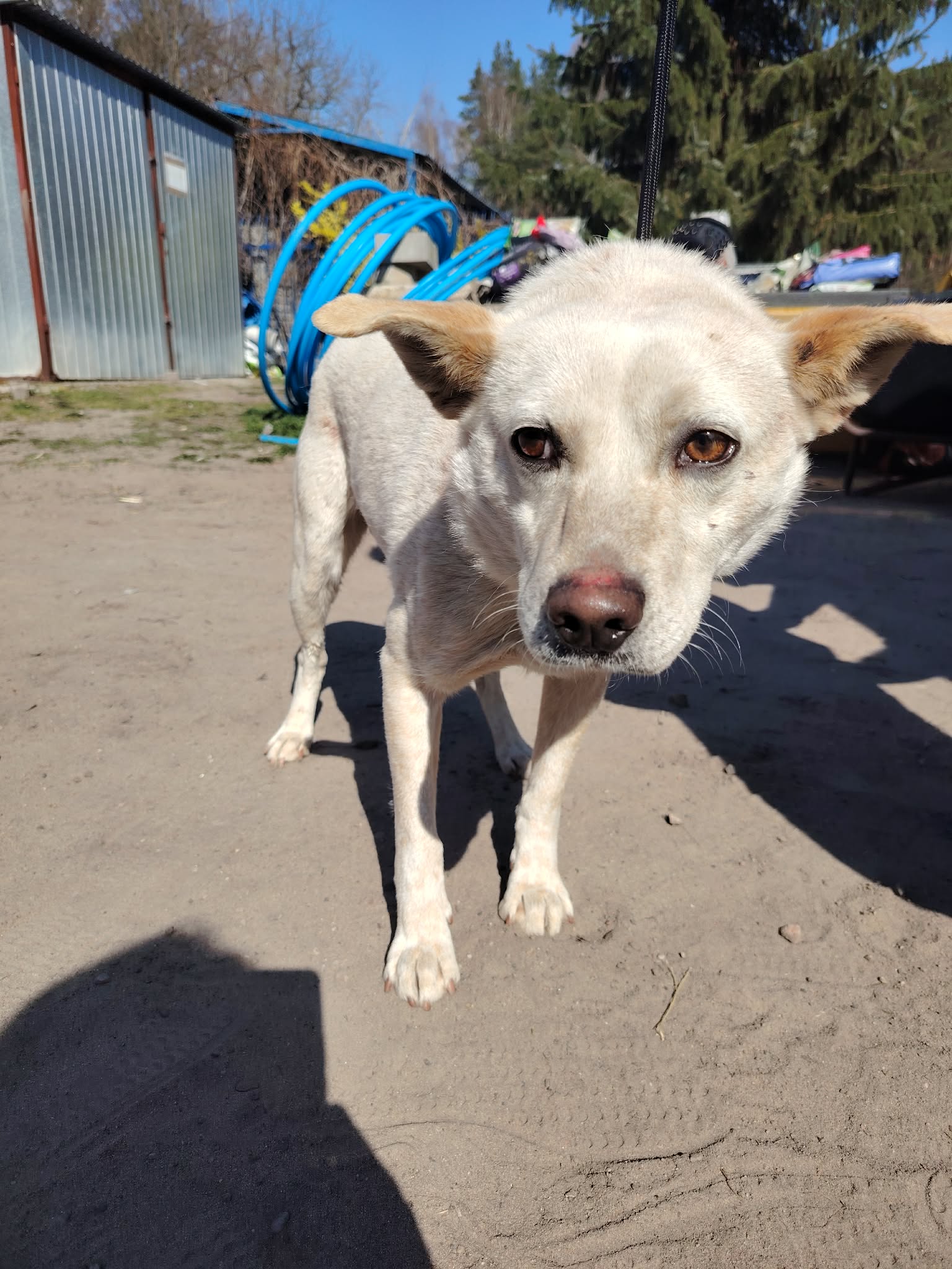 att.iIxnOKC9GO32Bcmi7teF 1rdRhopiOaPE44TkyiX6cg