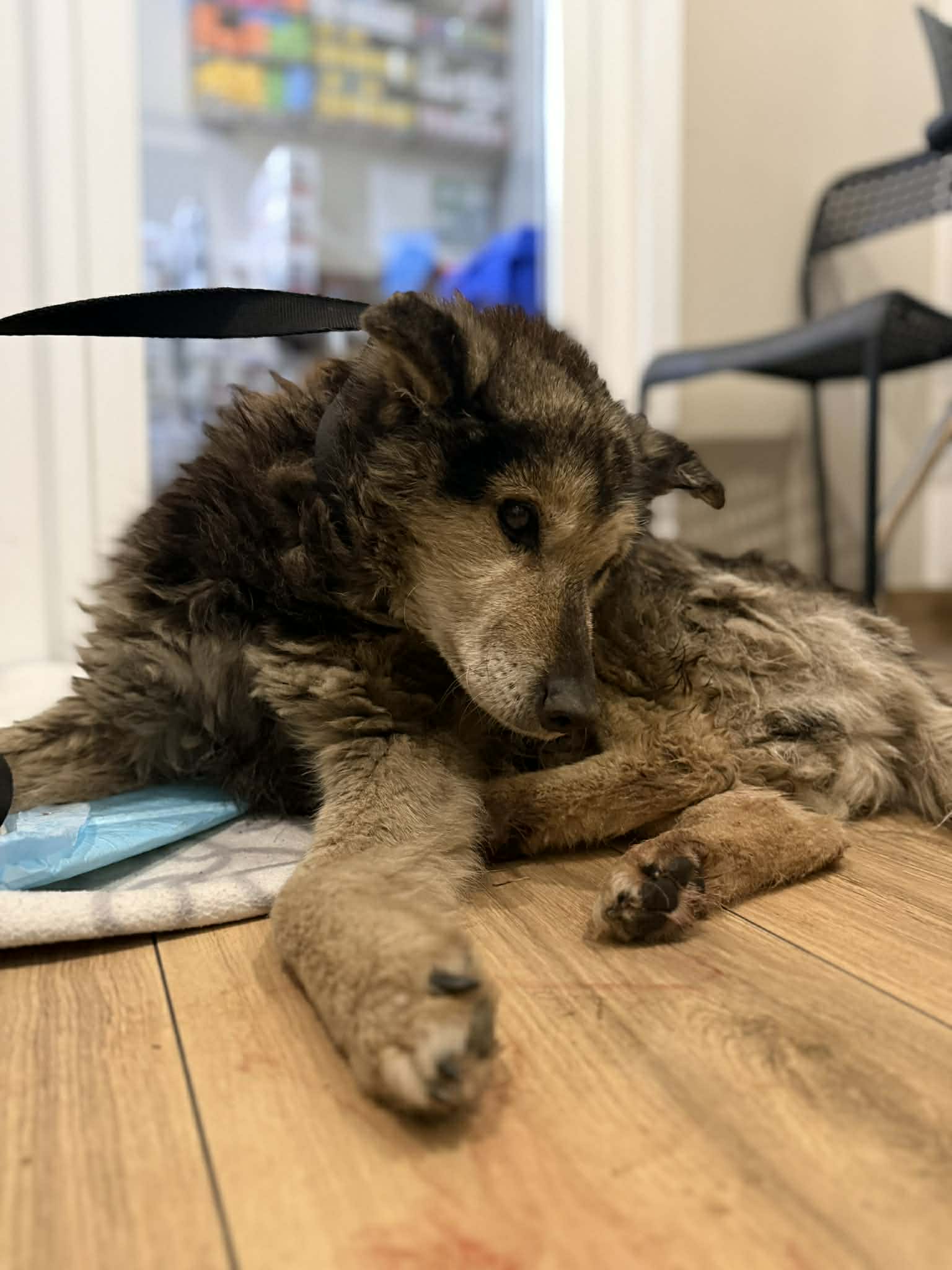 att.mqw1uNVc3 QmFqSD hADaX1kZf1lV5Mop0vu mCyIlo