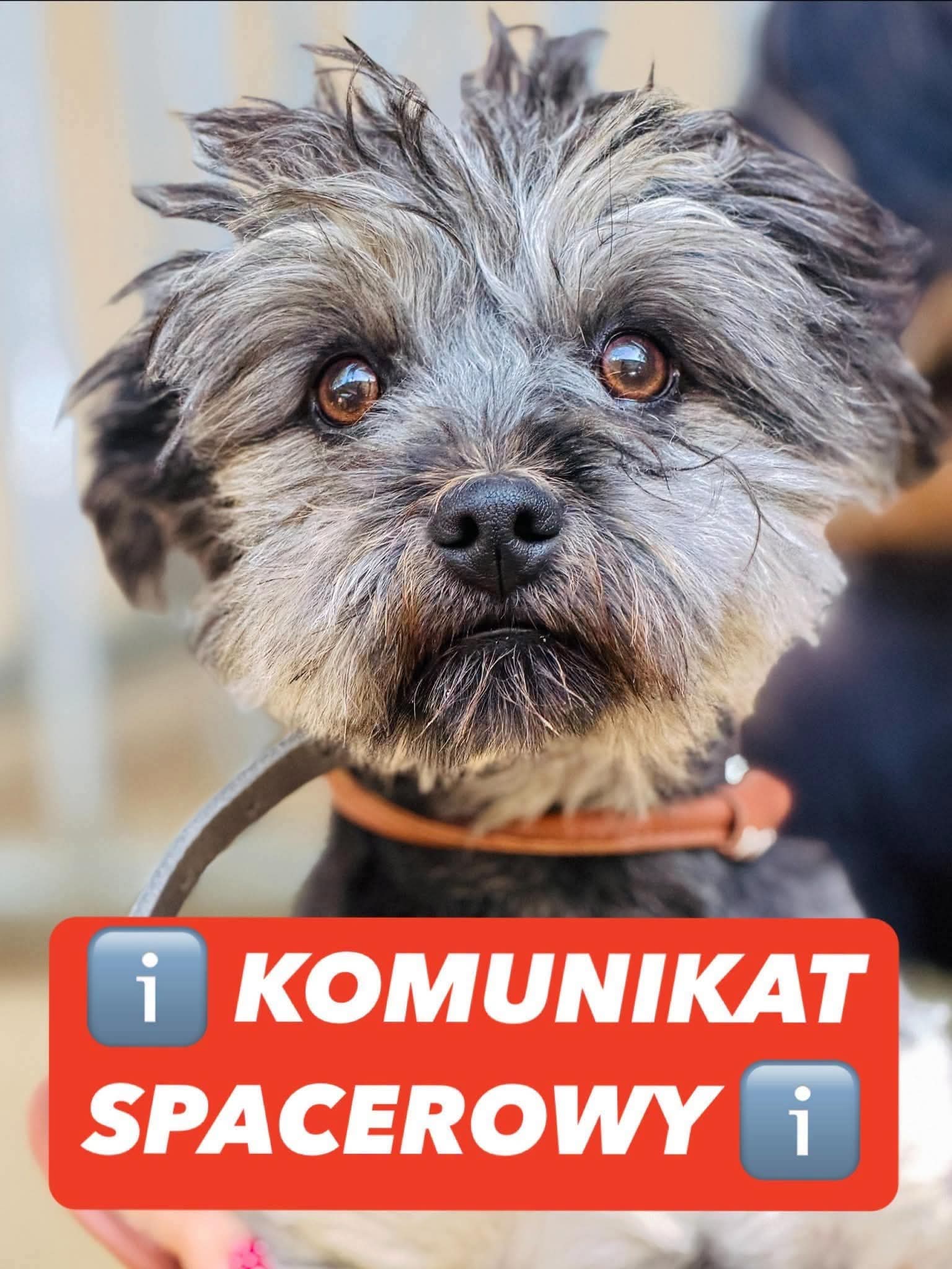 FB IMG 1790835288859
