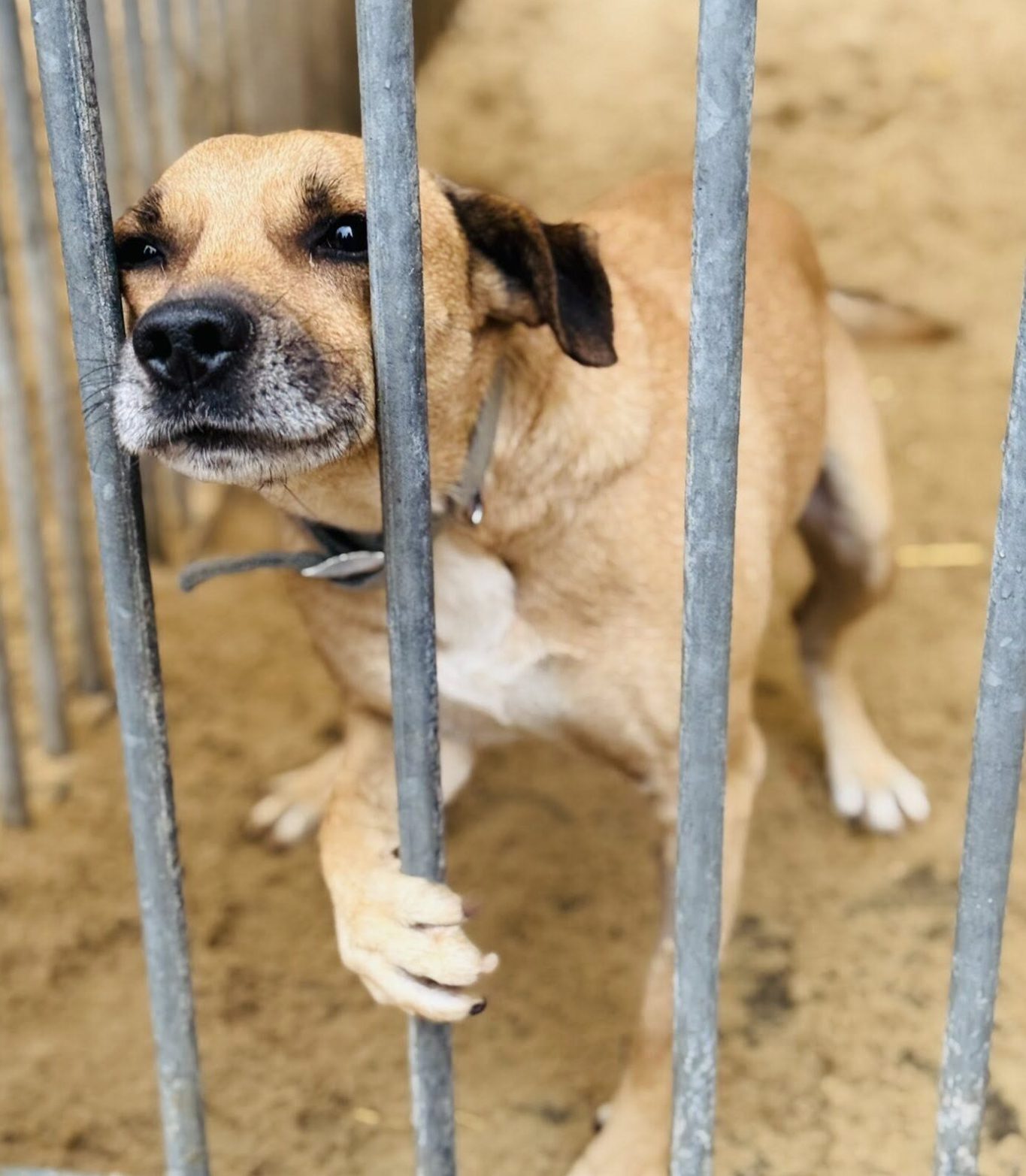 570814650_852273590704195_8800064059487796430_n